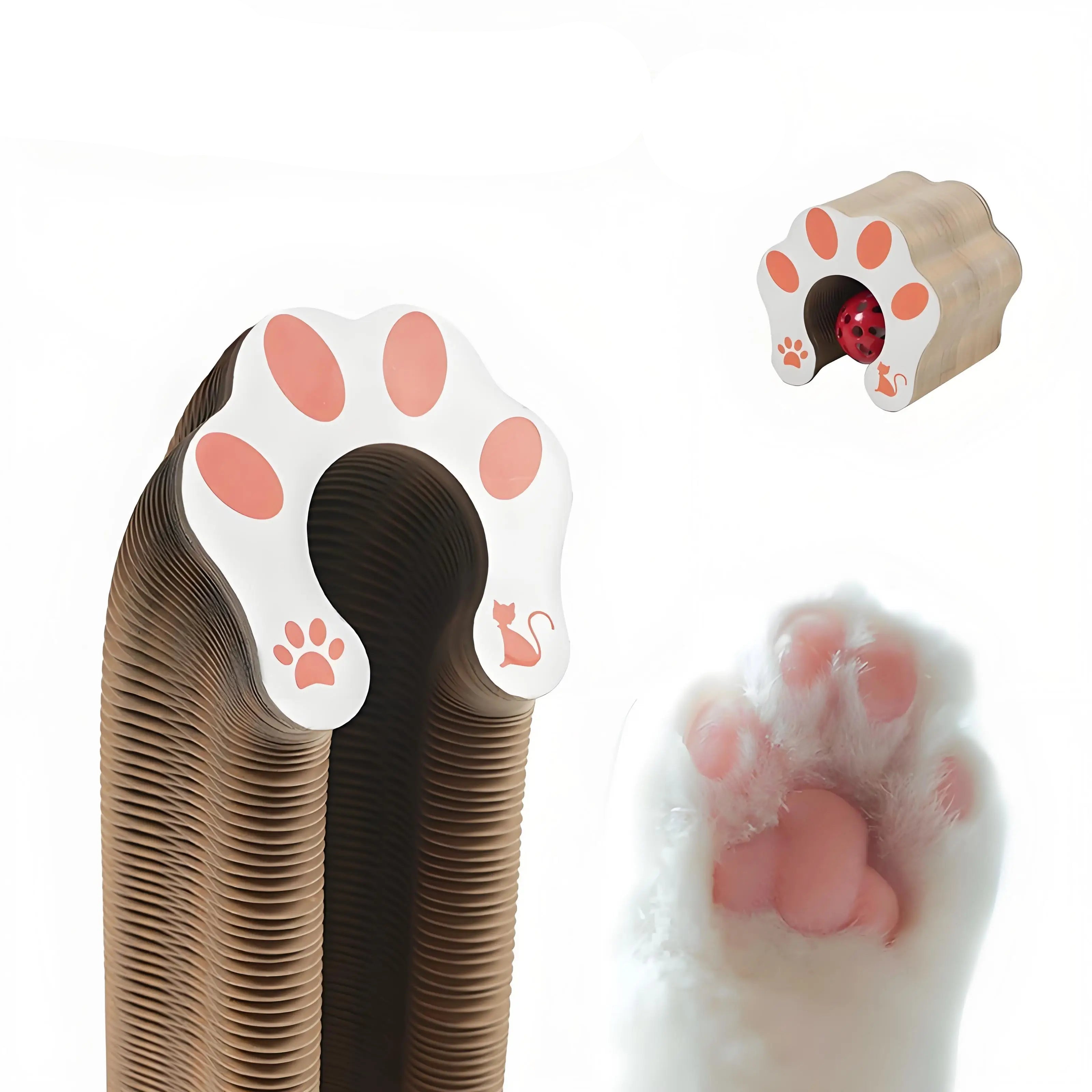Magic Organ Cat Toy Scratcher