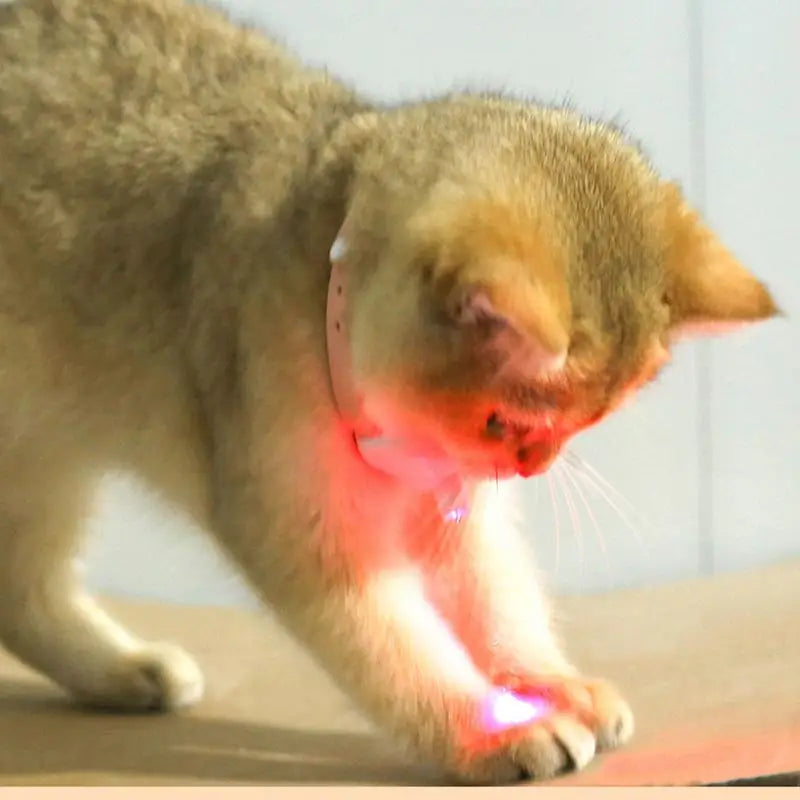 Self-Laser Cat Toy Collar LED