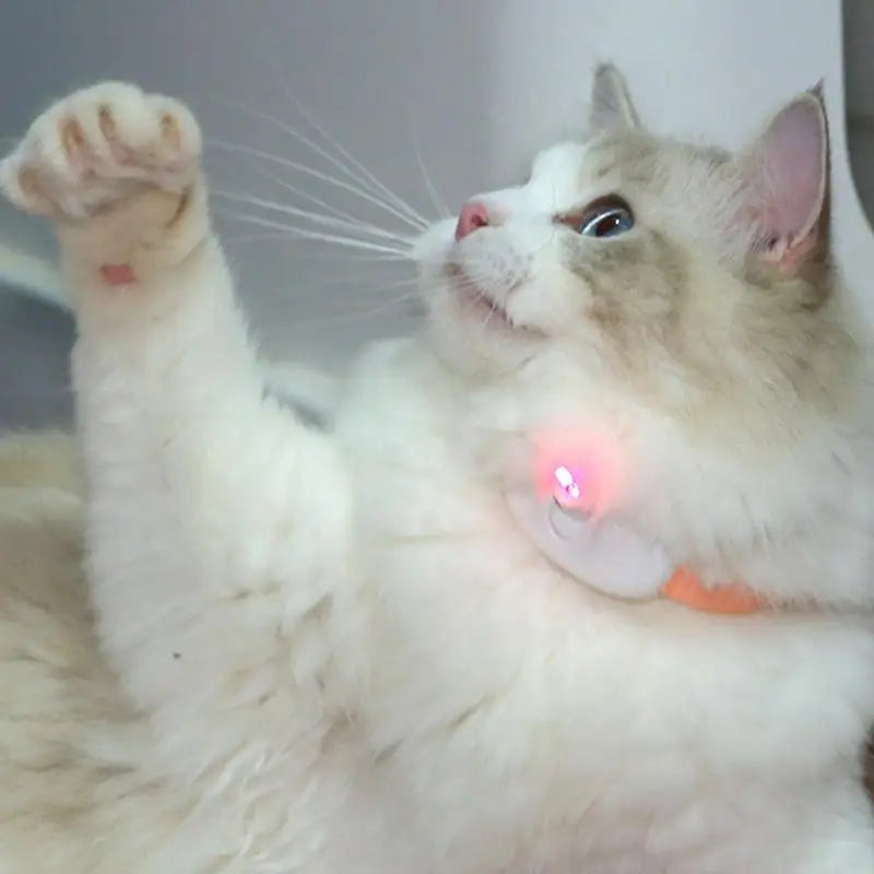 Self-Laser Cat Toy Collar LED