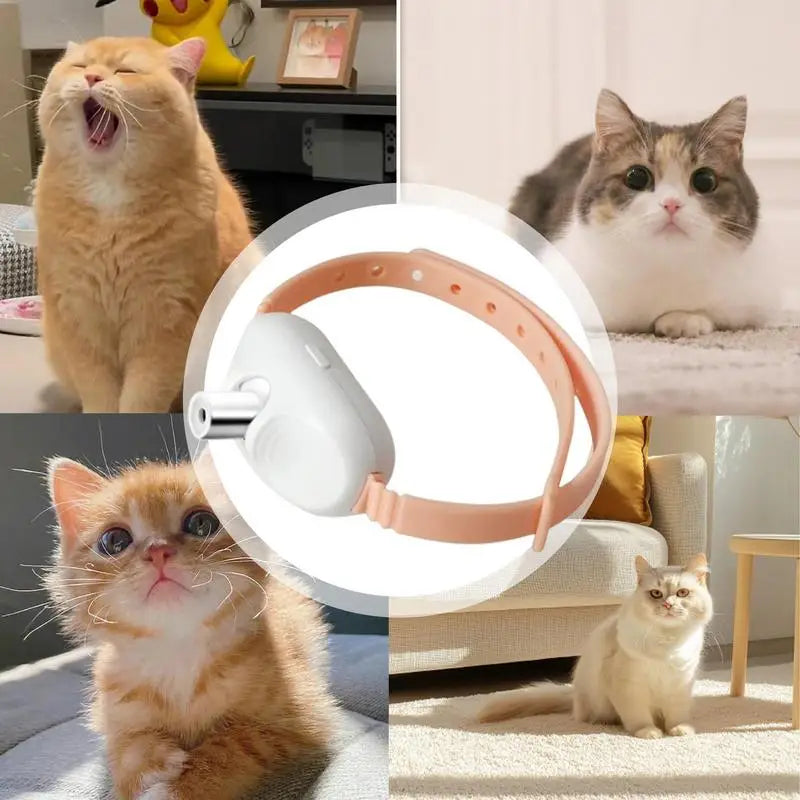 Self-Laser Cat Toy Collar LED