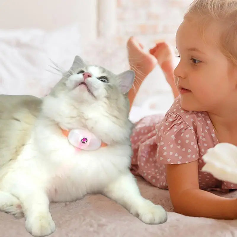 Self-Laser Cat Toy Collar LED