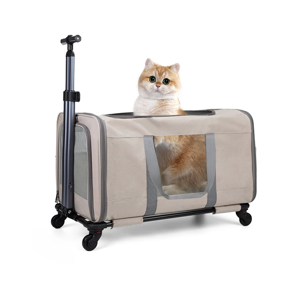 Cat Trolley With Wheels & Safety Belts