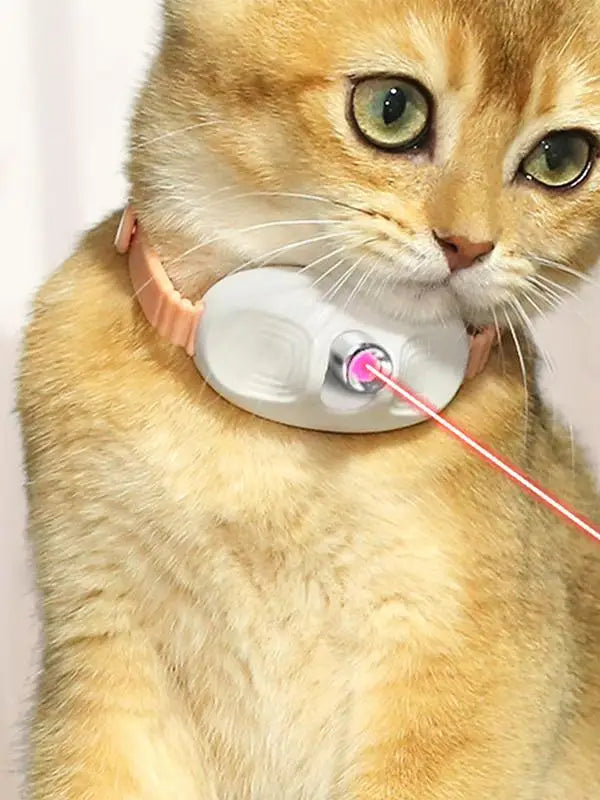 Self-Laser Cat Toy Collar LED