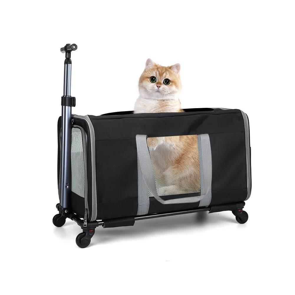 Cat Trolley With Wheels & Safety Belts