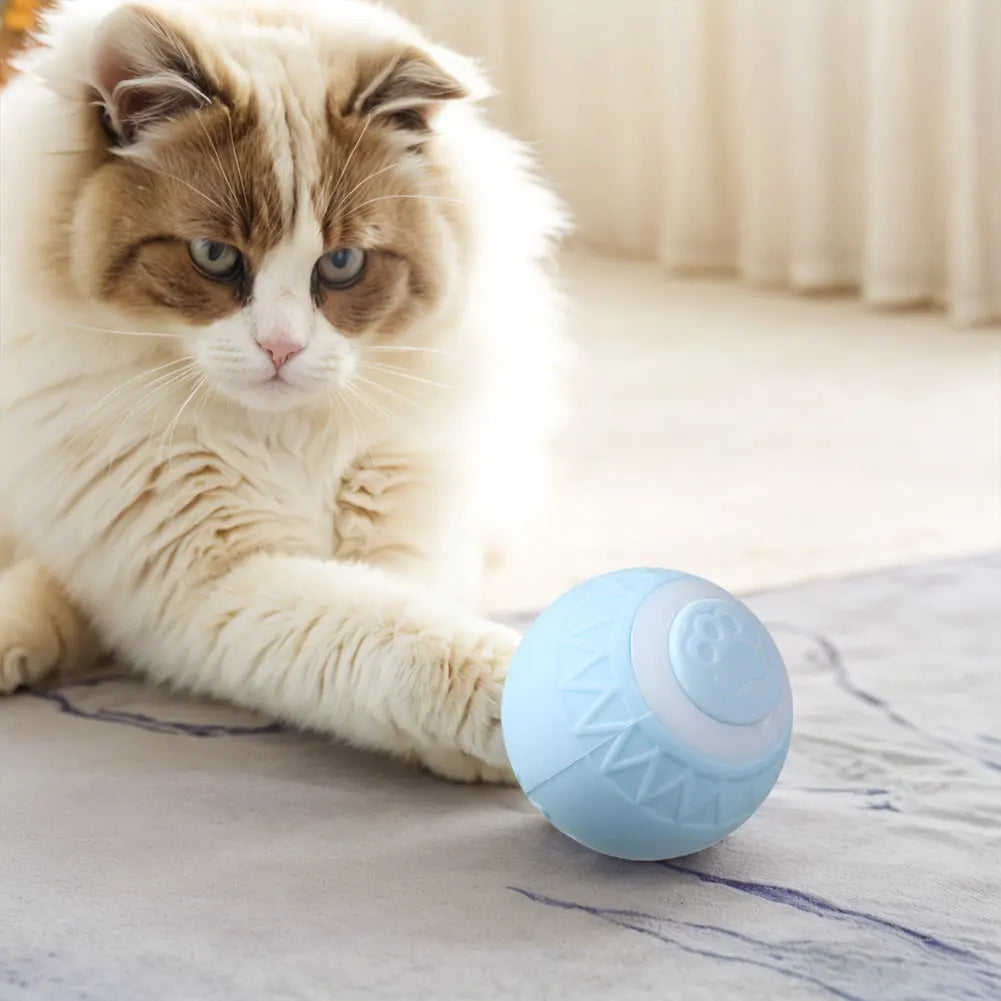 Automatic Interactive Rolling Ball  - Electric