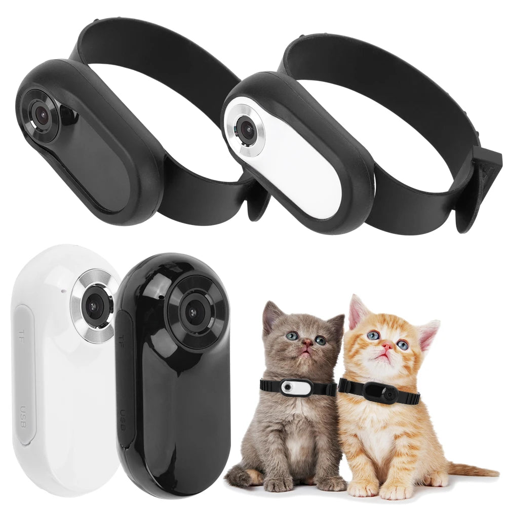 Wireless Collar Video Recorder