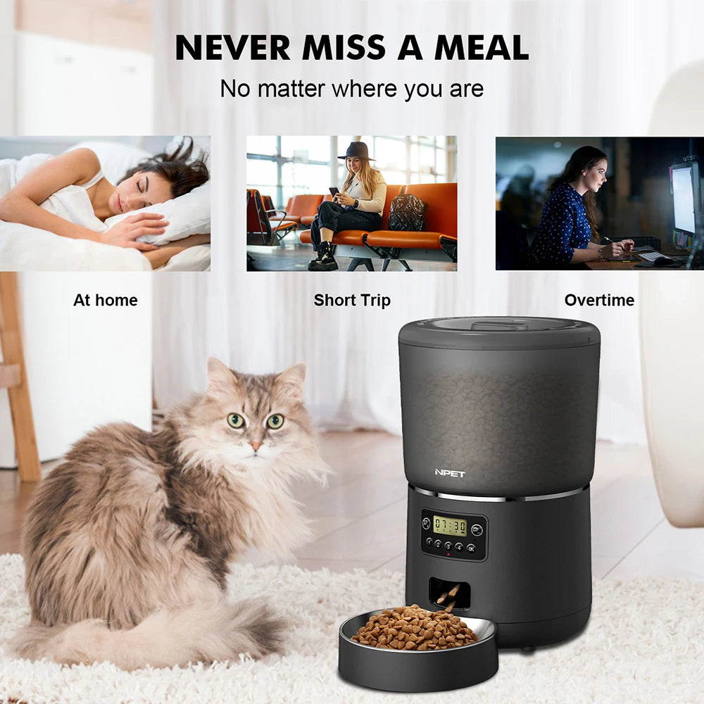 Auto Smart Pet Feeder - Multiple Cats