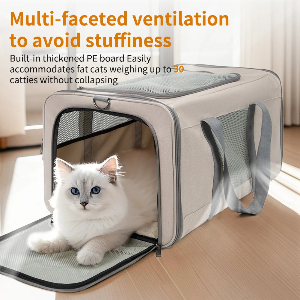 Cat Trolley With Wheels & Safety Belts