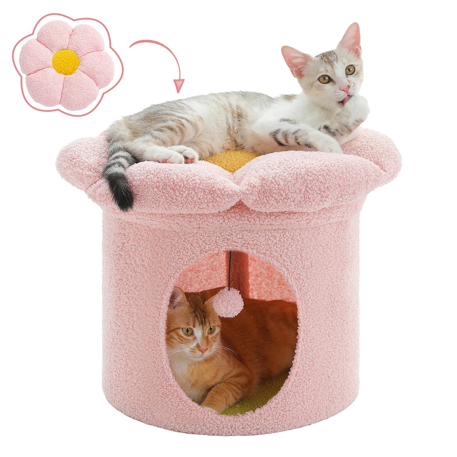Cat Bed & Cave Condo