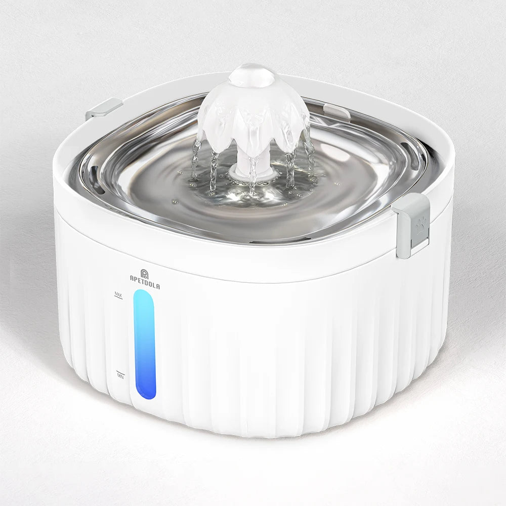 Water Fountain Stainless Steel