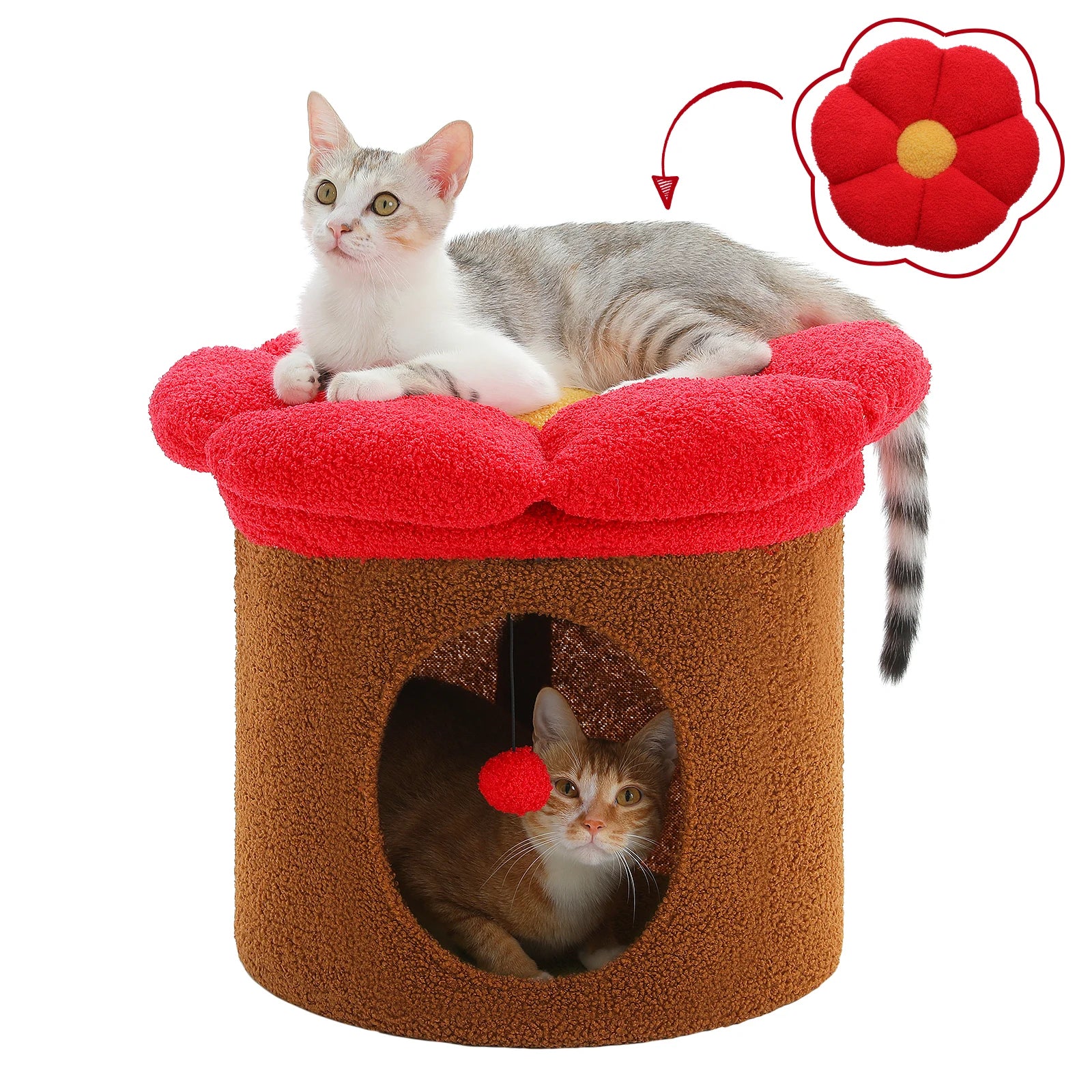Cat Bed & Cave Condo