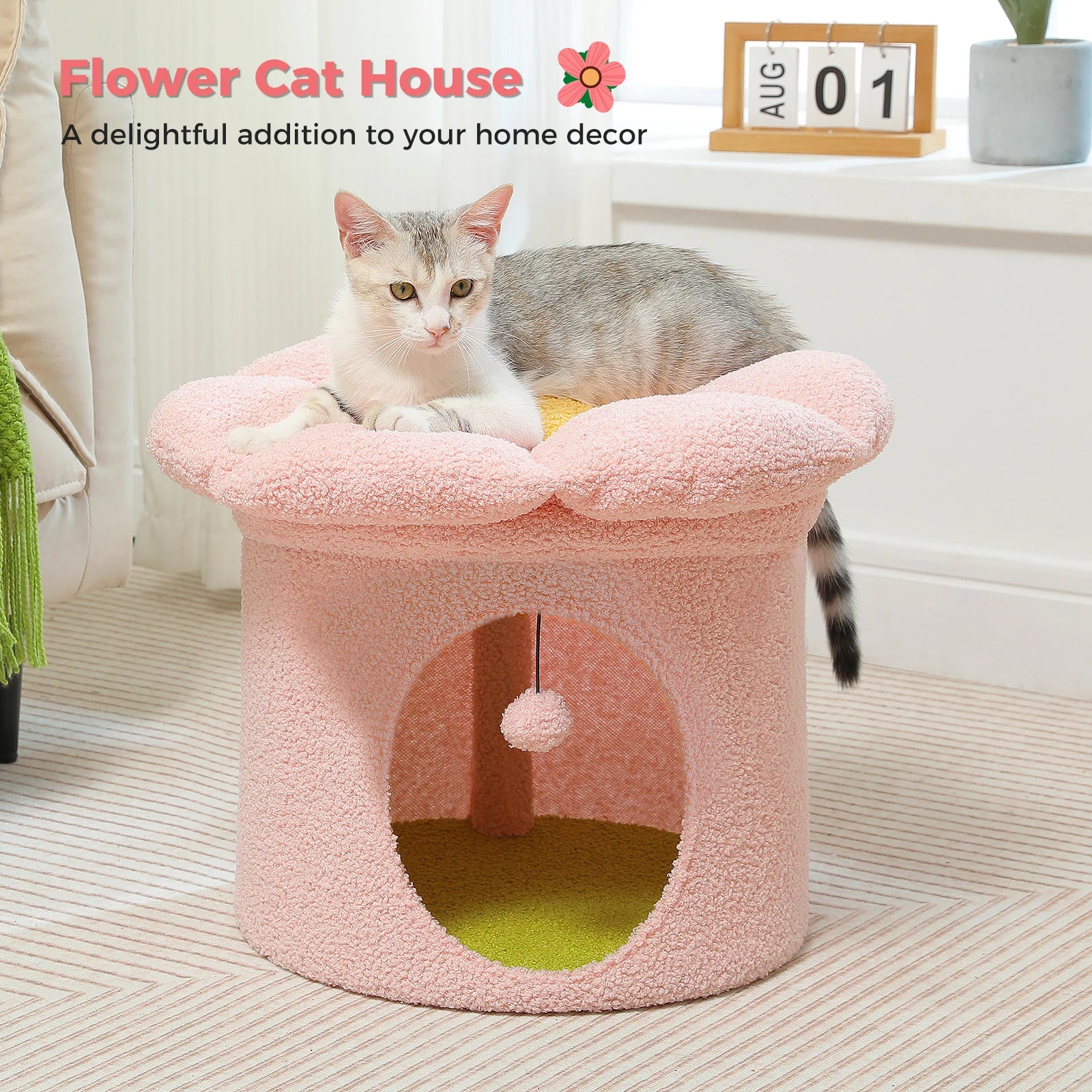 Cat Bed & Cave Condo
