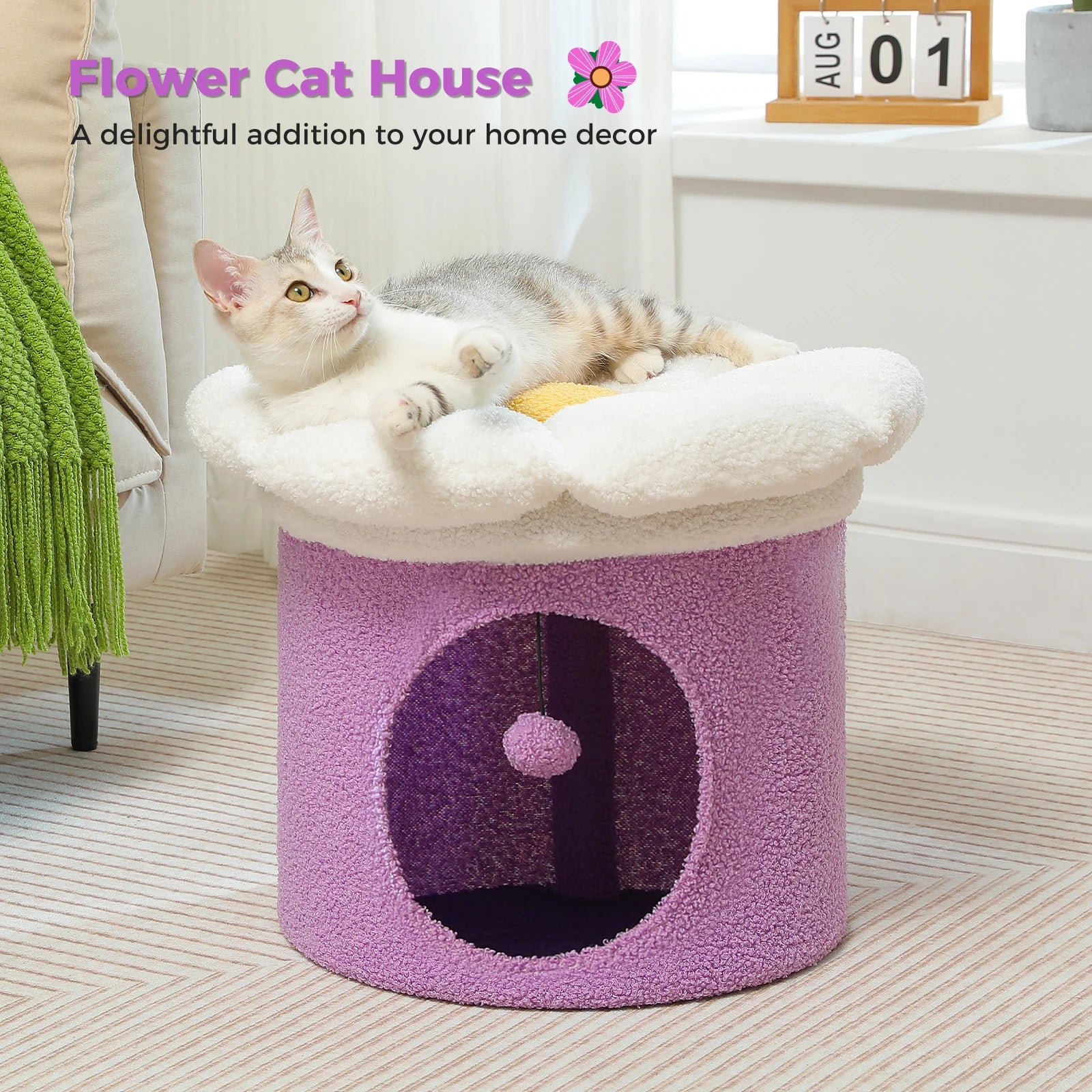 Cat Bed & Cave Condo