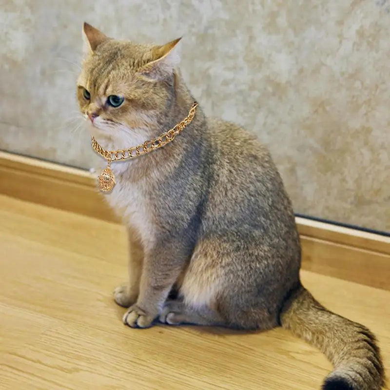 Cat Jewelry - Chain Collar With Bell (Golden)