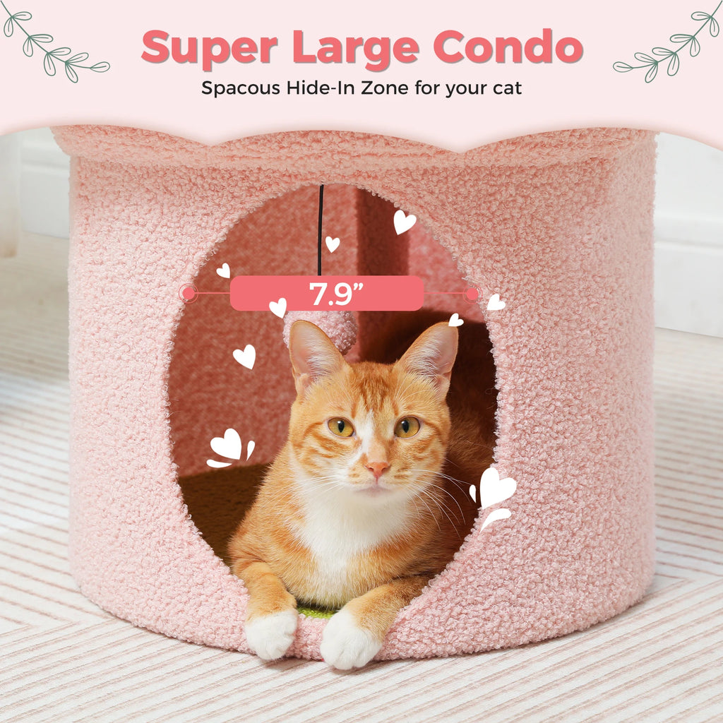 Cat Bed & Cave Condo