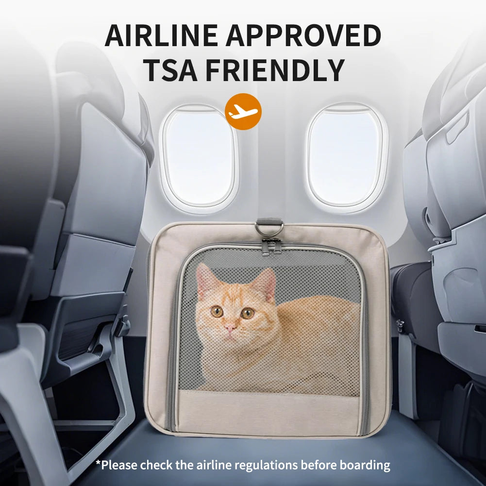 Cat Trolley With Wheels & Safety Belts