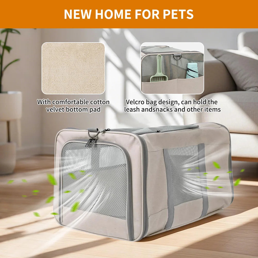 Cat Trolley With Wheels & Safety Belts