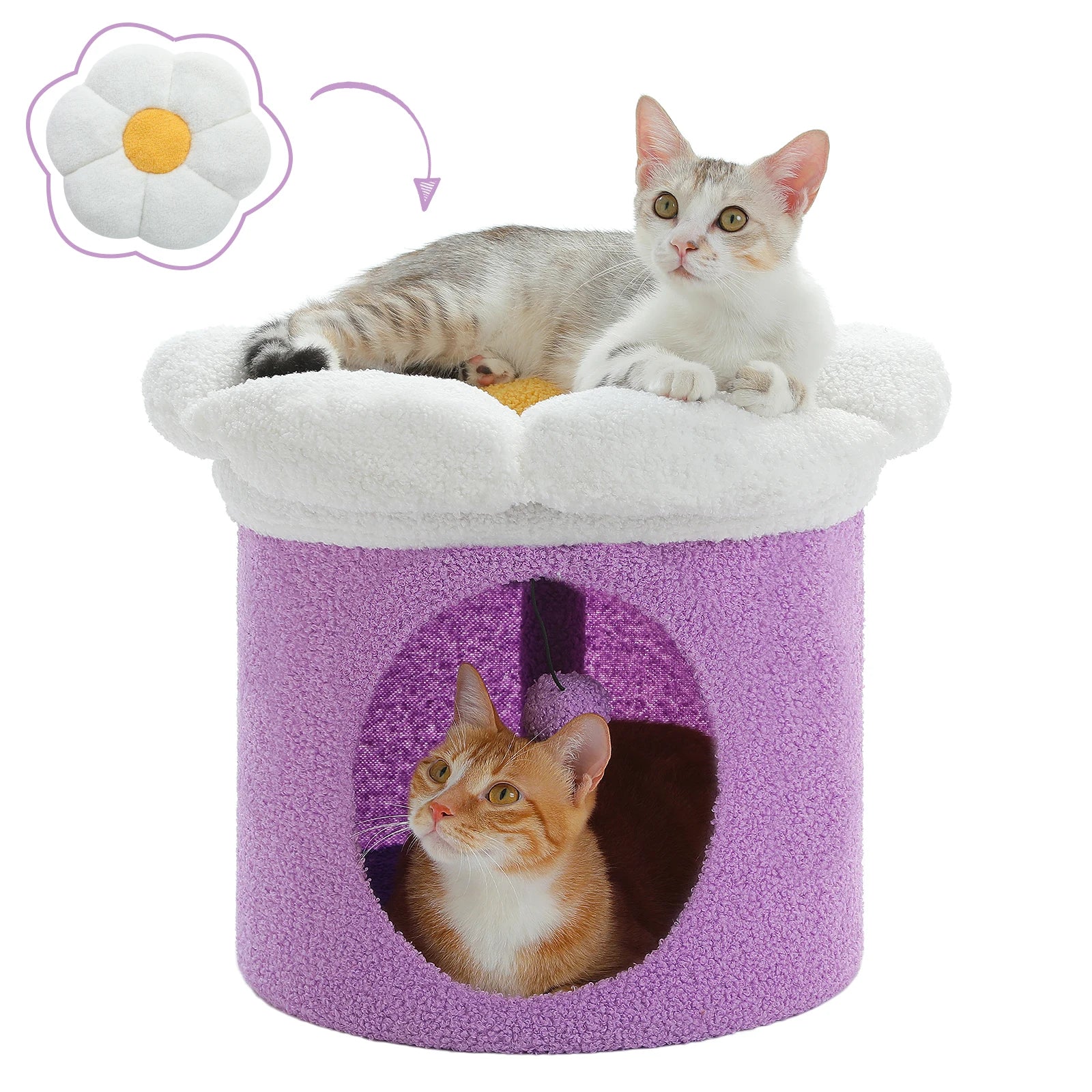 Cat Bed & Cave Condo