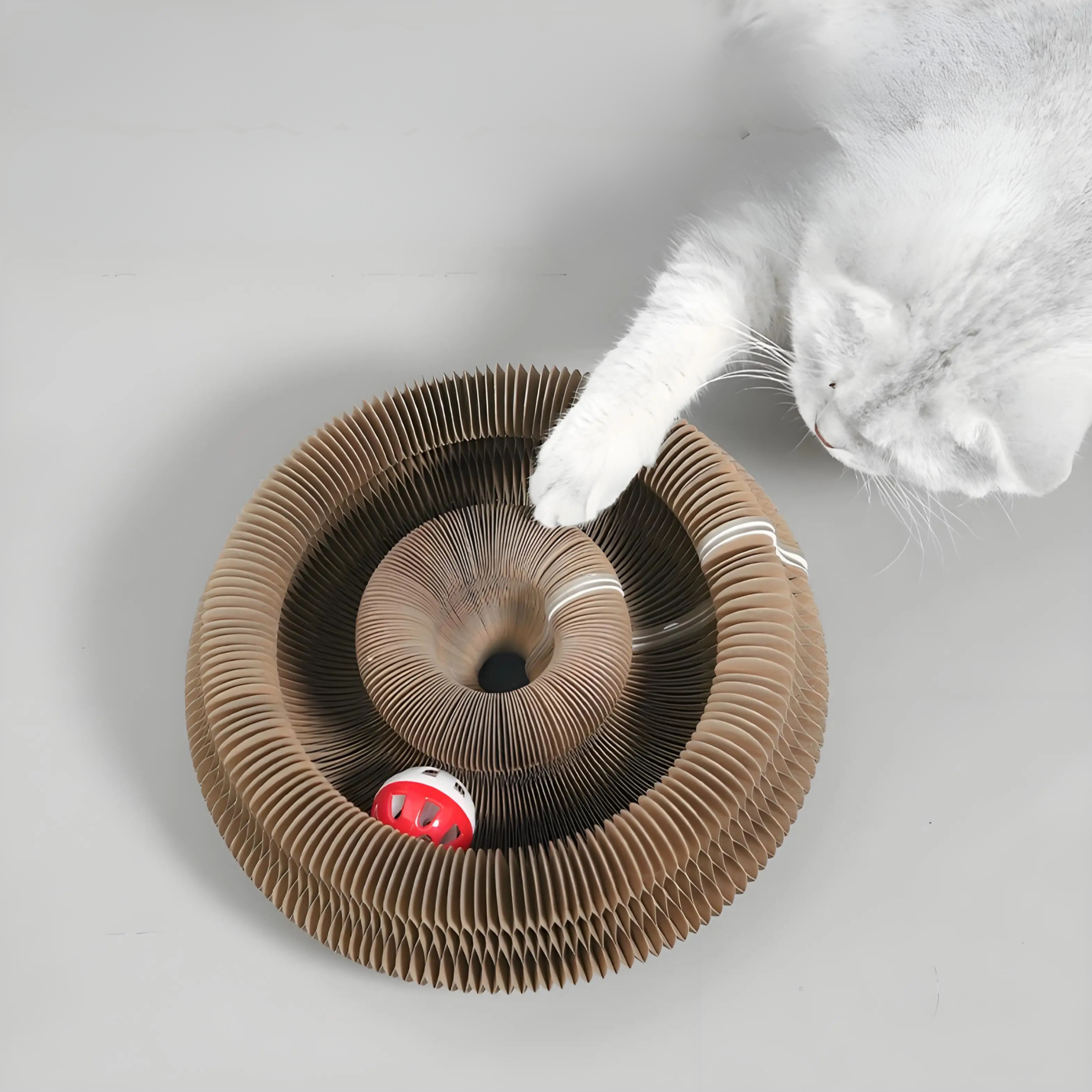 Magic Organ Cat Toy Scratcher